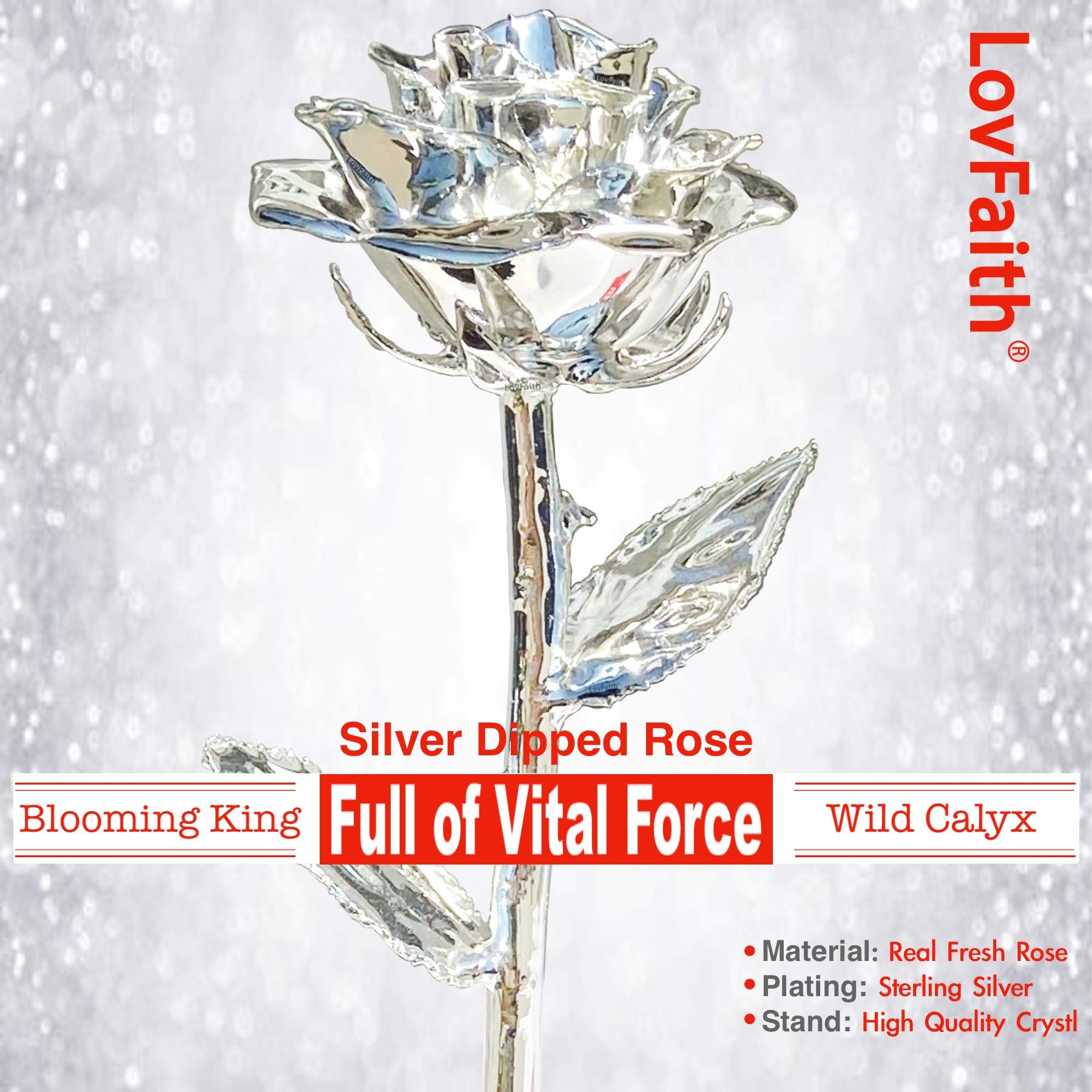 Amazon.com: LovFaith Valentine Gift Real Rose Dipped Thick
